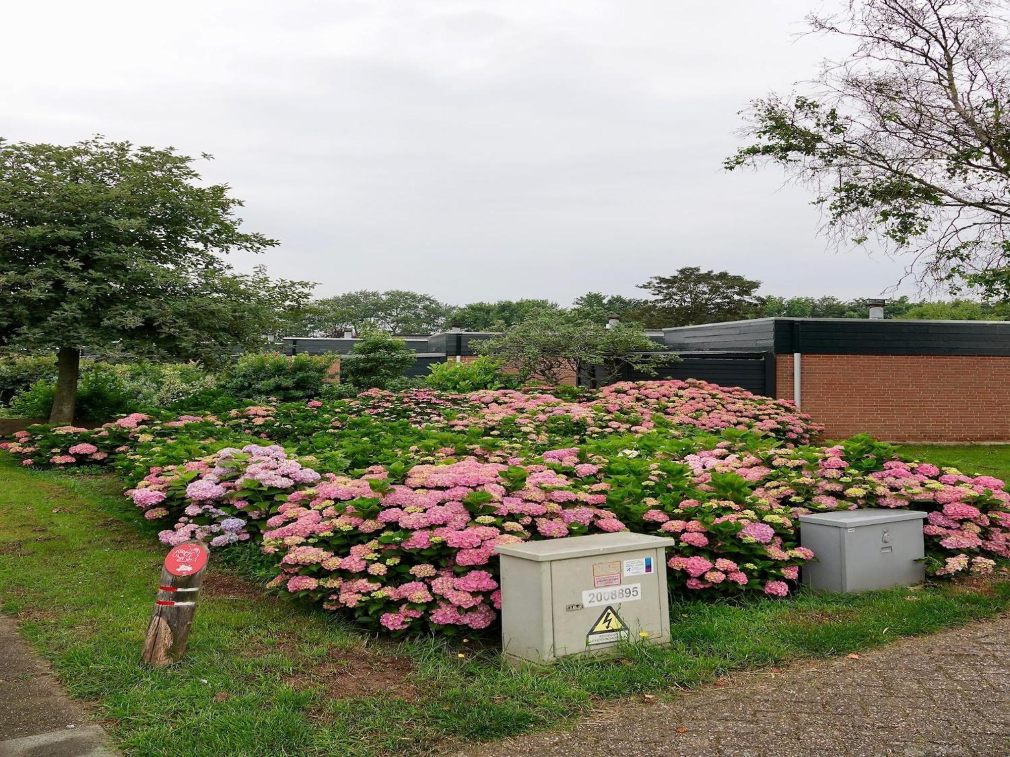 Comfortable Holiday Home In Noordwijkerhout Near The Sea 외부 사진