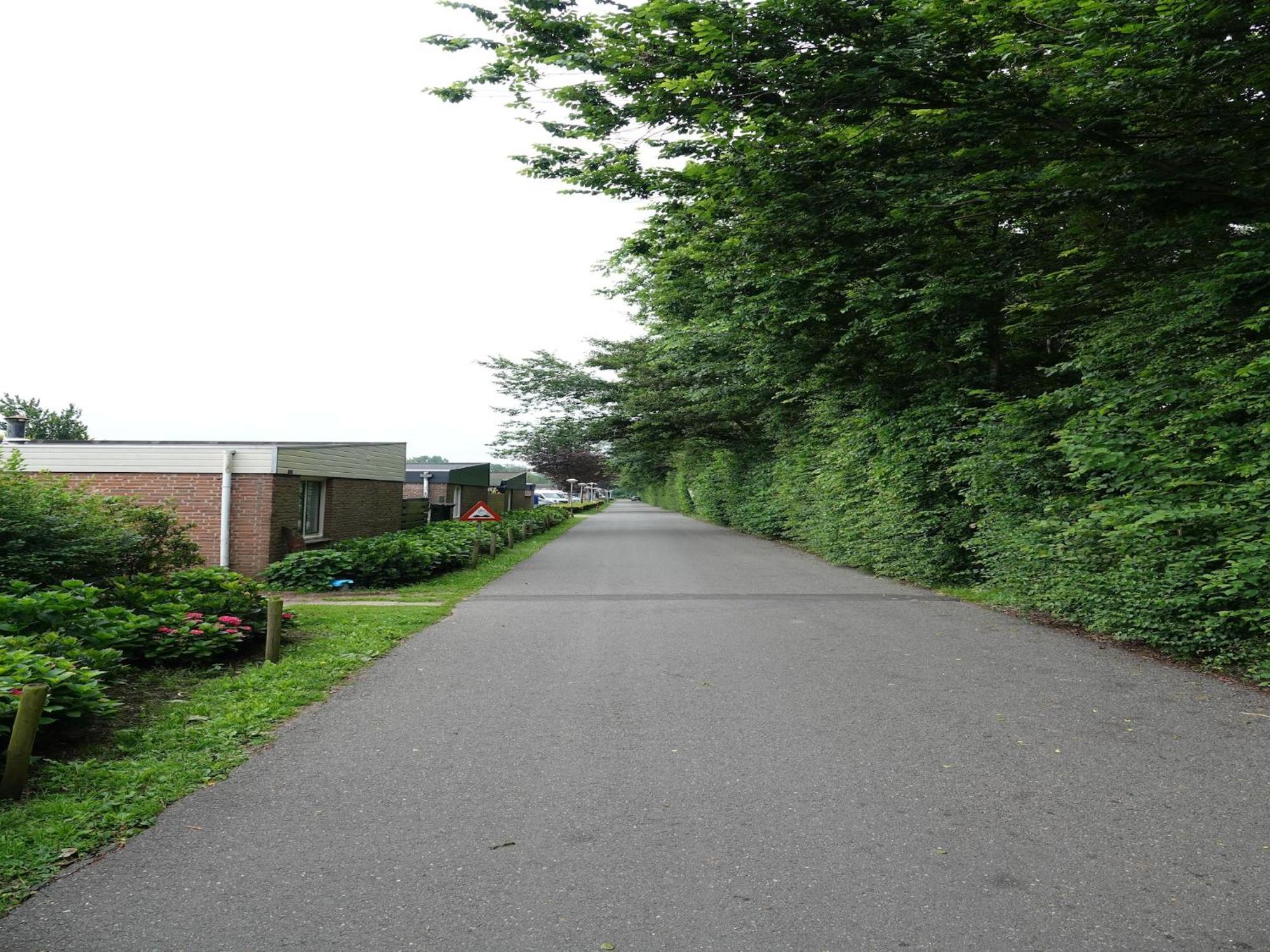 Comfortable Holiday Home In Noordwijkerhout Near The Sea 외부 사진